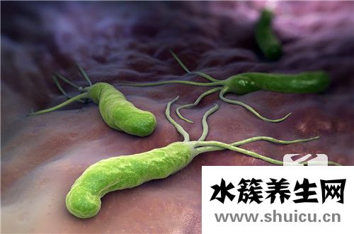 胃里有幽门杆菌严重吗？正常的胃内有幽门螺杆菌吗