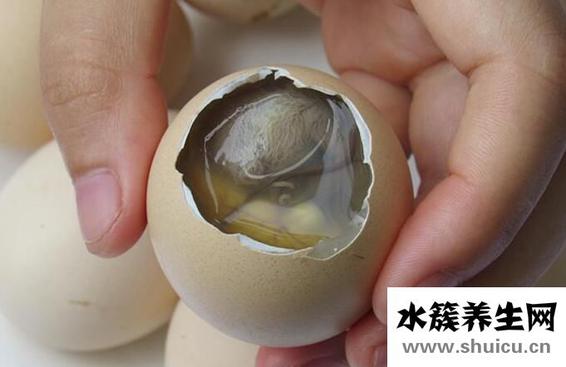 吃活珠子的好处和危害