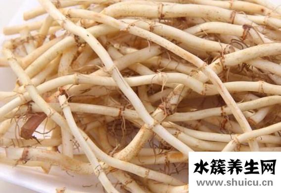 鱼腥草与什么相克