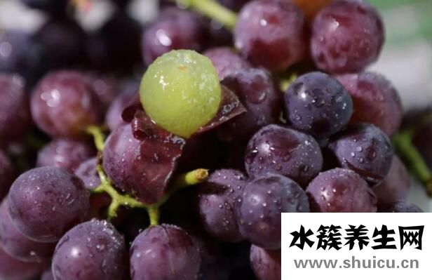 甲状腺必吃五种水果