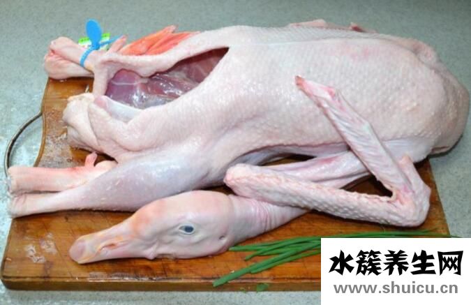 女性为什么不能吃鹅肉