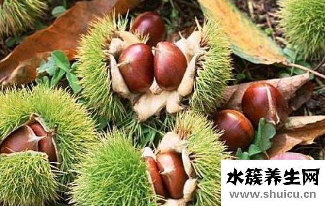 补肾的水果
