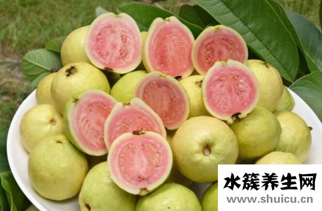 芭乐的功效与作用禁忌