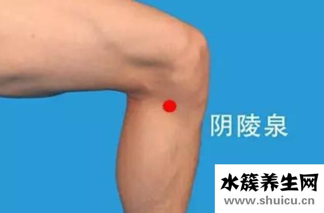 阴陵泉的准确位置图片