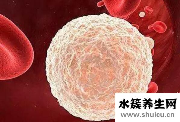 白细胞偏高是什么原因？白细胞偏高怎么降下来？