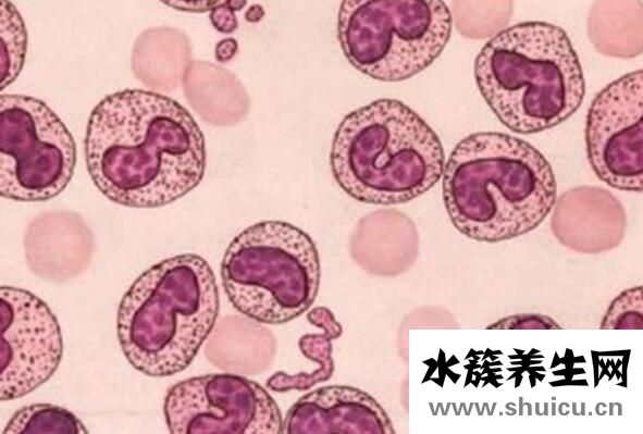 白细胞偏高怎么降下来