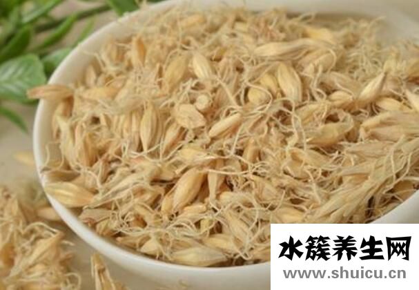 生麦芽泡水喝有什么好处？生麦芽泡水喝的功效