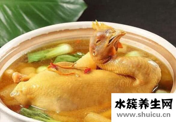 吃公鸡汤有什么好处？公鸡汤的功效与作用