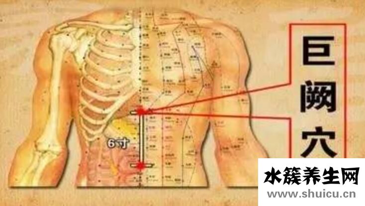 巨阙穴在哪个位置？巨阙的准确位置图