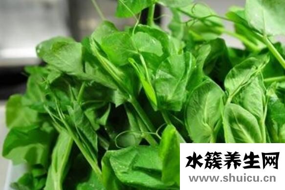 豌豆尖的功效与作用