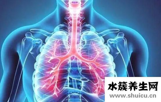 肺痨是什么病
