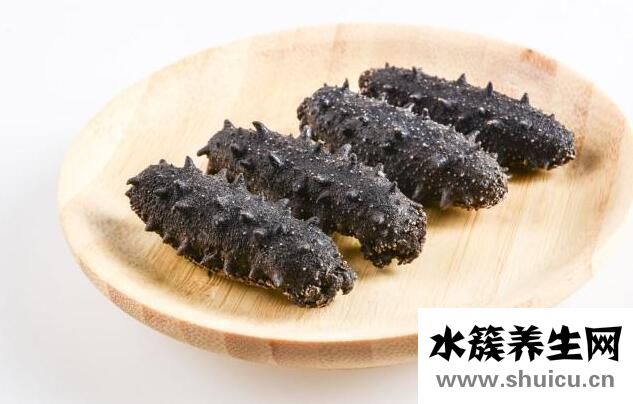 海参的功效与禁忌