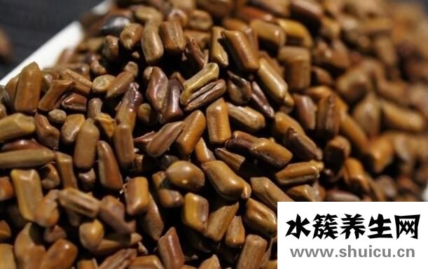 决明子枕头的功效与作用