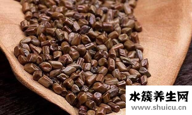 决明子做枕头有什么功效？决明子枕头的功效与作用
