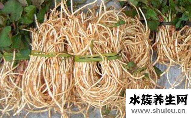 女人吃鱼腥草的好处