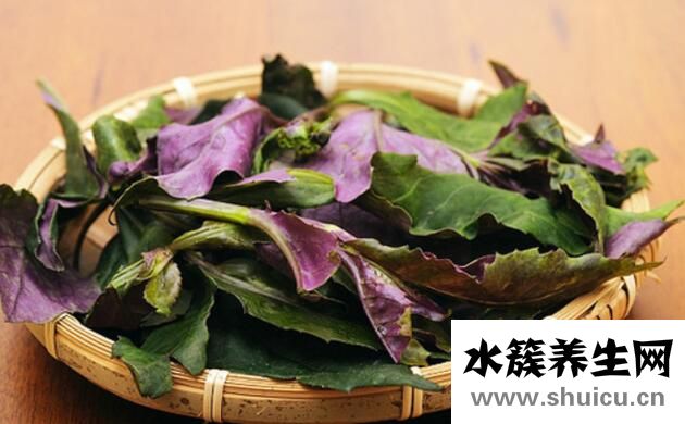 红凤菜有哪些功效？红凤菜的功效与作用