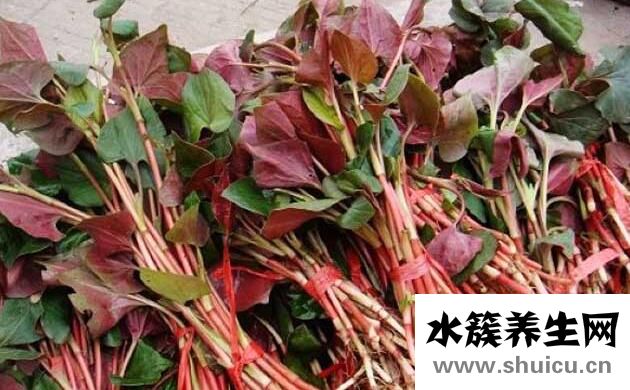 女人吃鱼腥草有什么好处？女人吃鱼腥草的五个好处