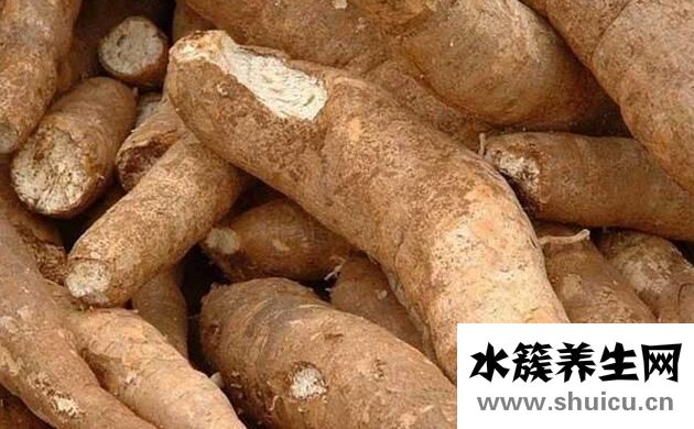木薯的功效与作用禁忌