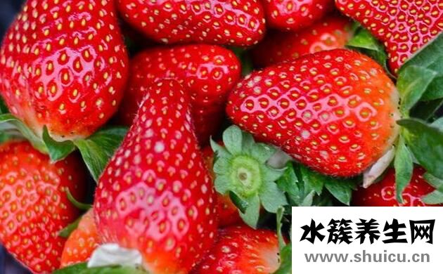 养胃护胃5种水果