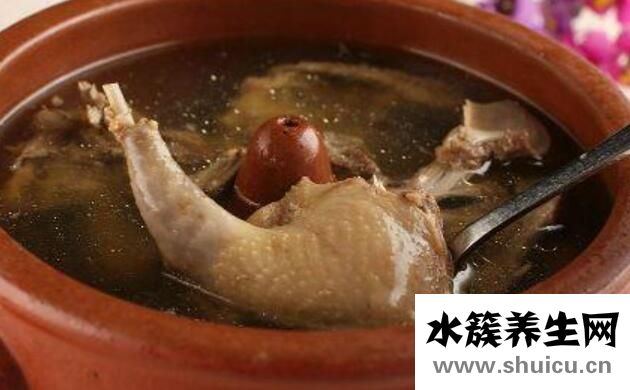 鸽子哪五种人不能吃