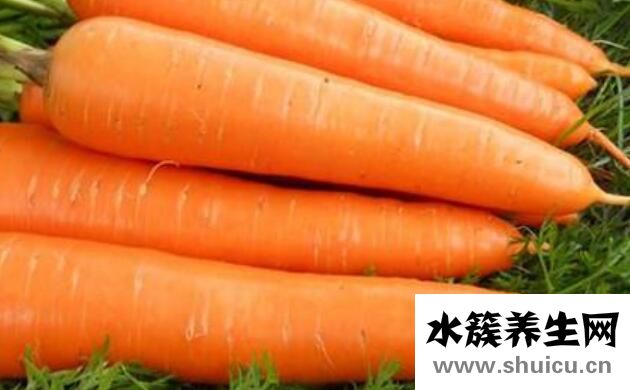 什么补血效果最好最快
