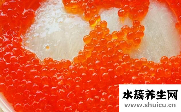 鱼籽的营养价值及功效