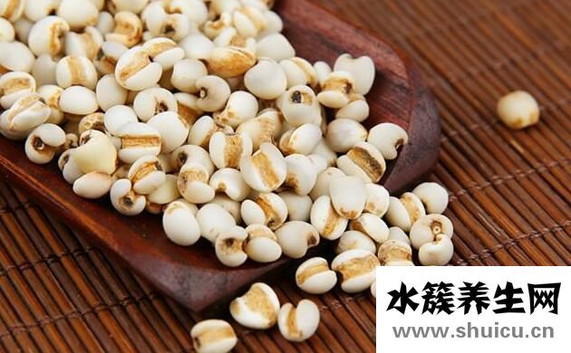 祛湿的食物