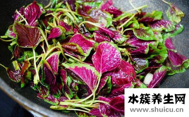 孕妇不能吃什么蔬菜？孕妇十大禁忌蔬菜