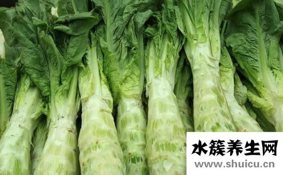 莴苣的功效与作用禁忌