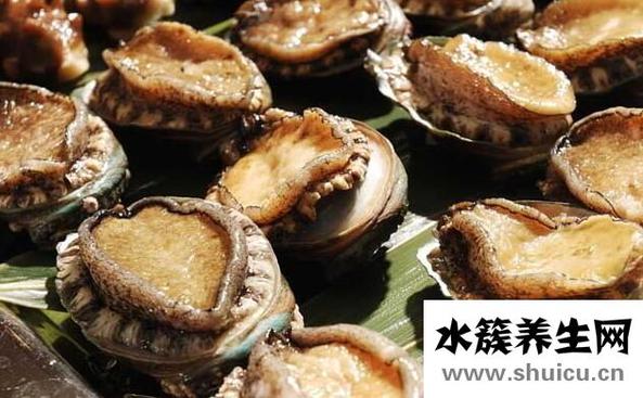 鲍鱼的功效及禁忌