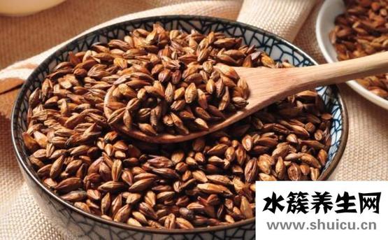 什么人不能喝大麦茶
