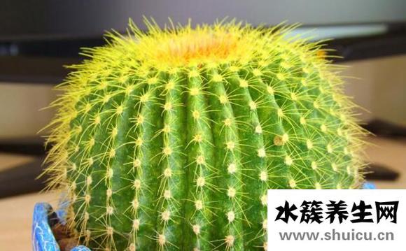 白领防辐射的方法
