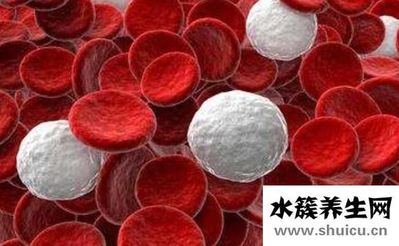 白血病有哪些早期症状？白血病的8个早期症状