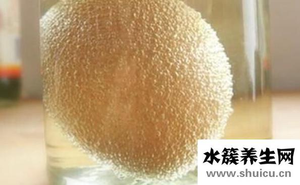 白醋泡鸡蛋的功效和作用