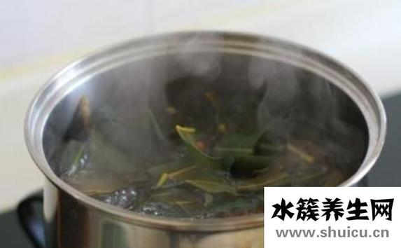 枇杷叶怎么煮水止咳