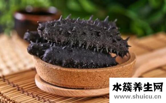 什么病不能吃海参