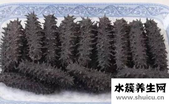 什么病不能吃海参