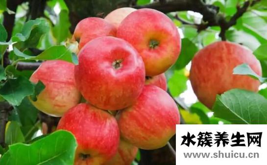 吃什么降胆固醇最快