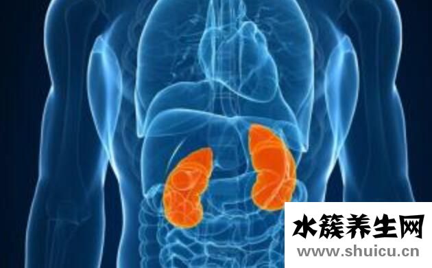 肾炎有什么症状