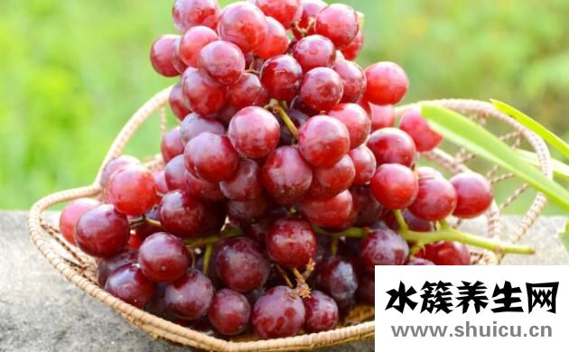 吃什么补肝最好