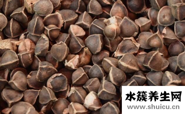 吃什么补肝最好