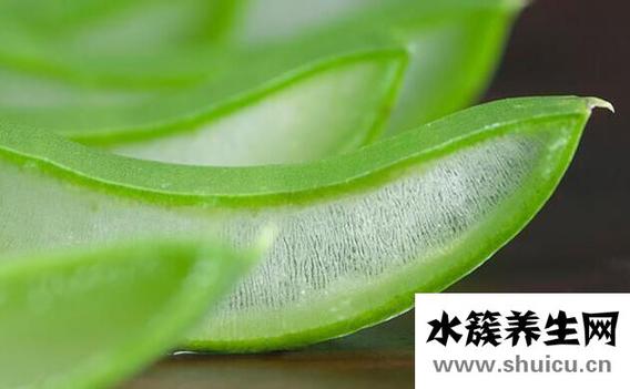 芦荟食用禁忌