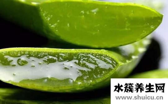 食用芦荟有什么禁忌？食用芦荟的3大禁忌
