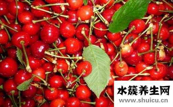七种暖胃水果