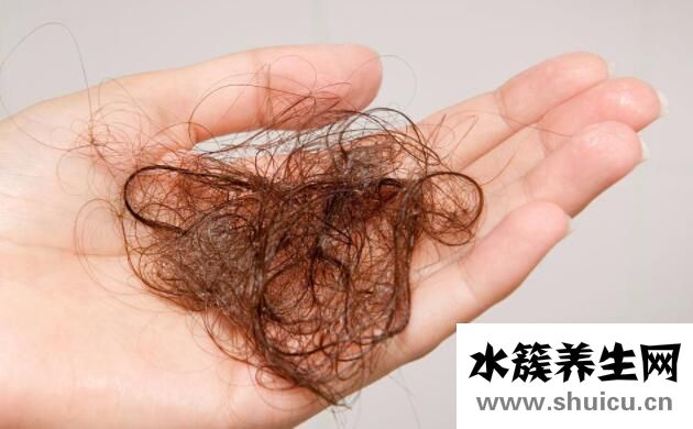 头发掉的厉害