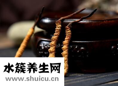 冬虫夏草到底是什么