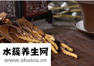 冬虫夏草是虫还是草？答案告诉你！！