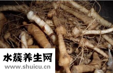 野生黄精具备什么样的功效？限时优惠，点击抢购，软糯甘甜
