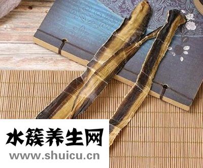 中药地龙的功效与作用