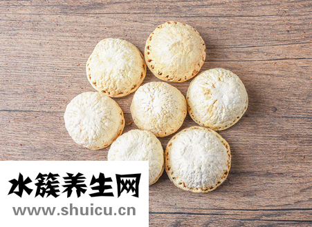 厚鳞柯